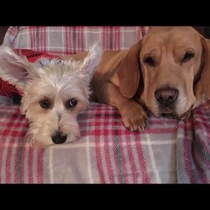 Meet your Posher, Laura